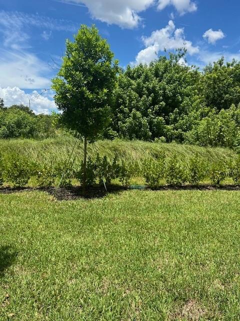 LAKESHORE AT THE FOUNTAIN - Residential Lease