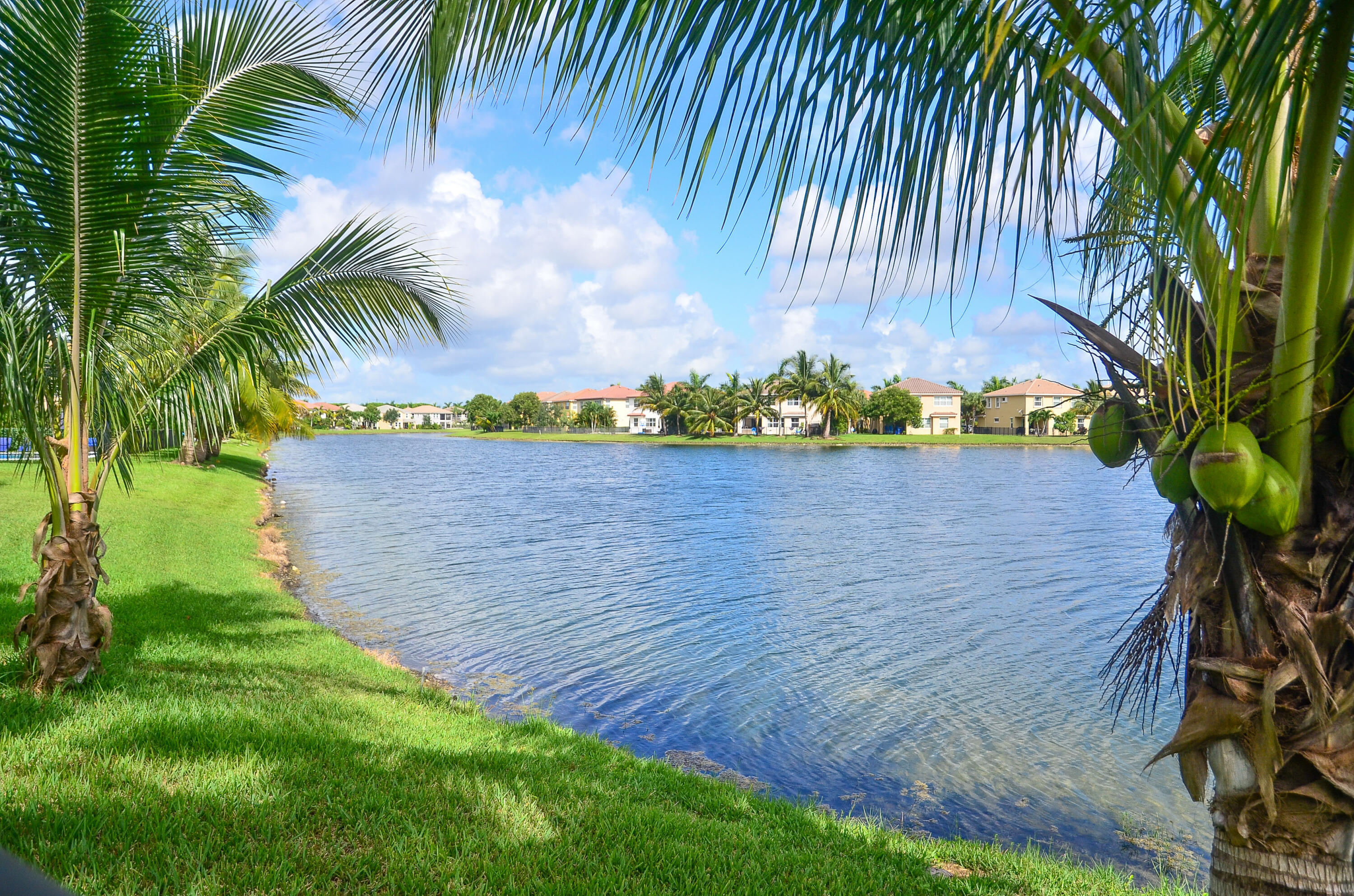 OLYMPIA 2 - Residential