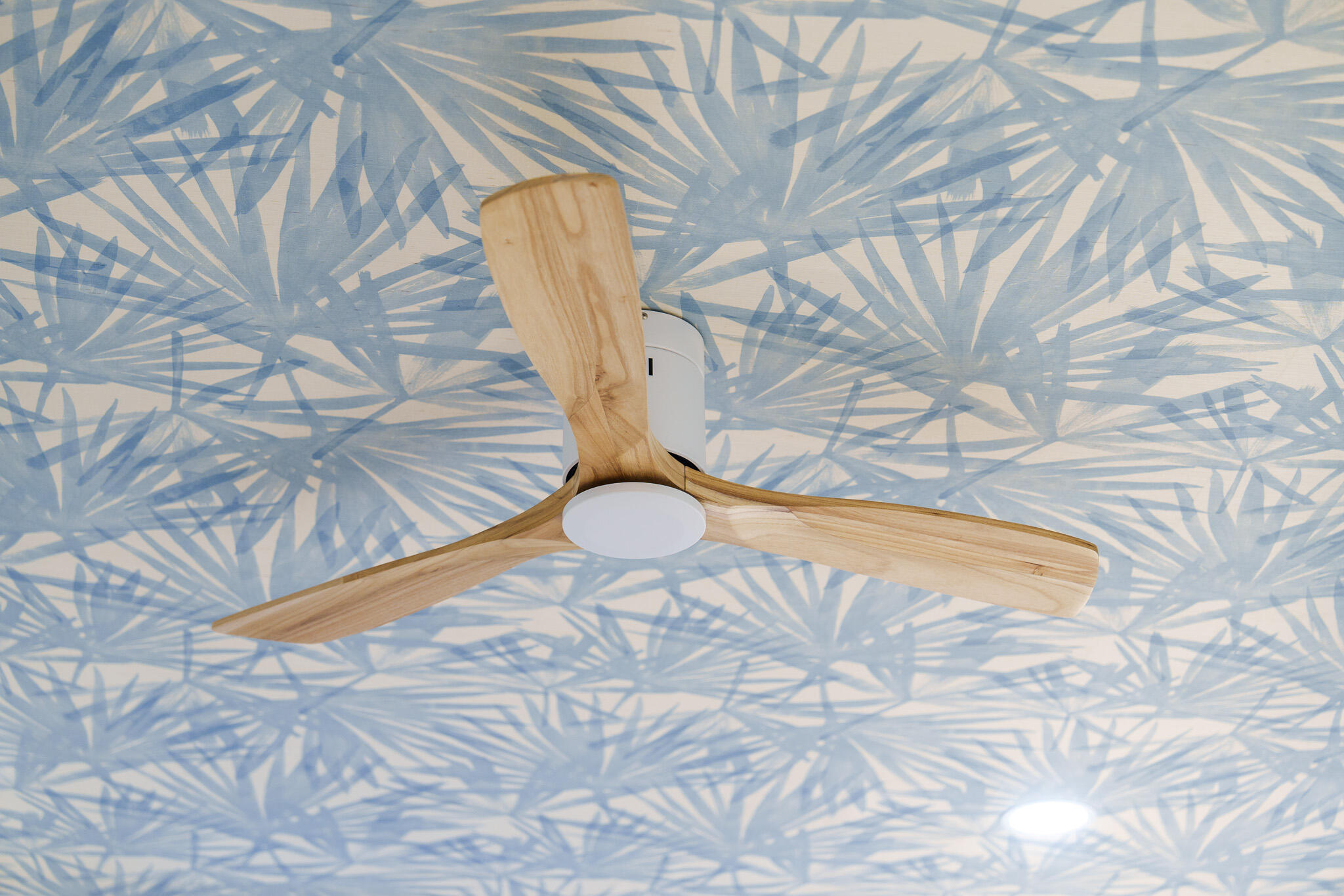 TROPICAL PARK - Residential