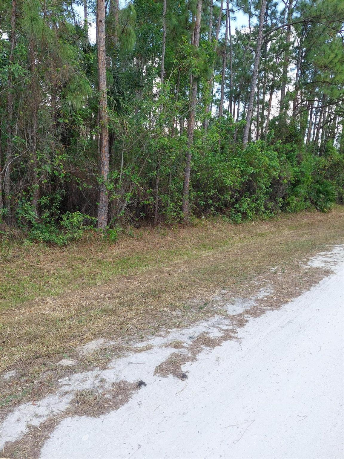 Loxahatchee/The Acreage - Land