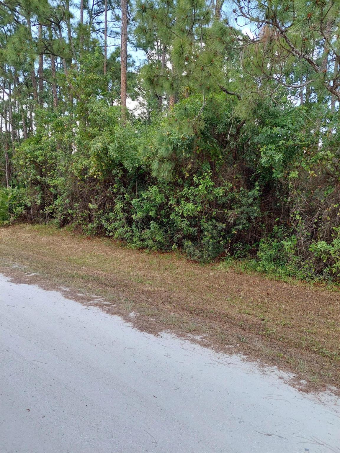 Loxahatchee/The Acreage - Land