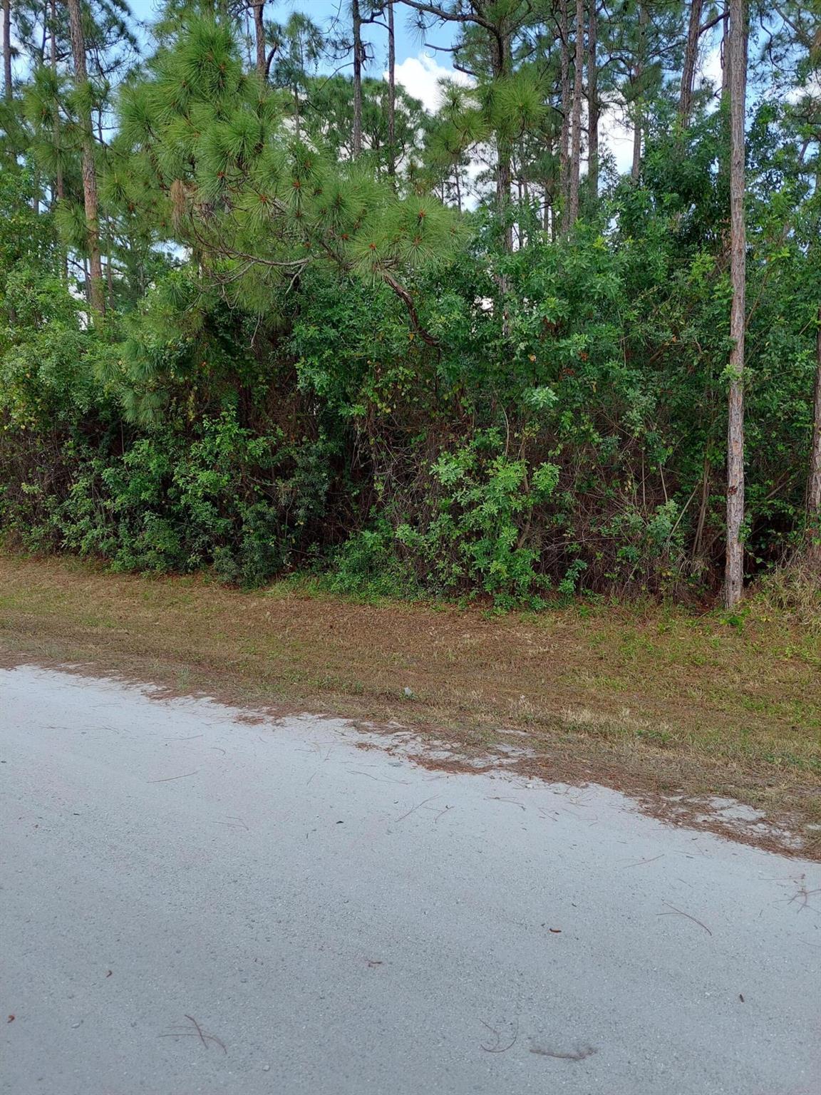 Loxahatchee/The Acreage - Land