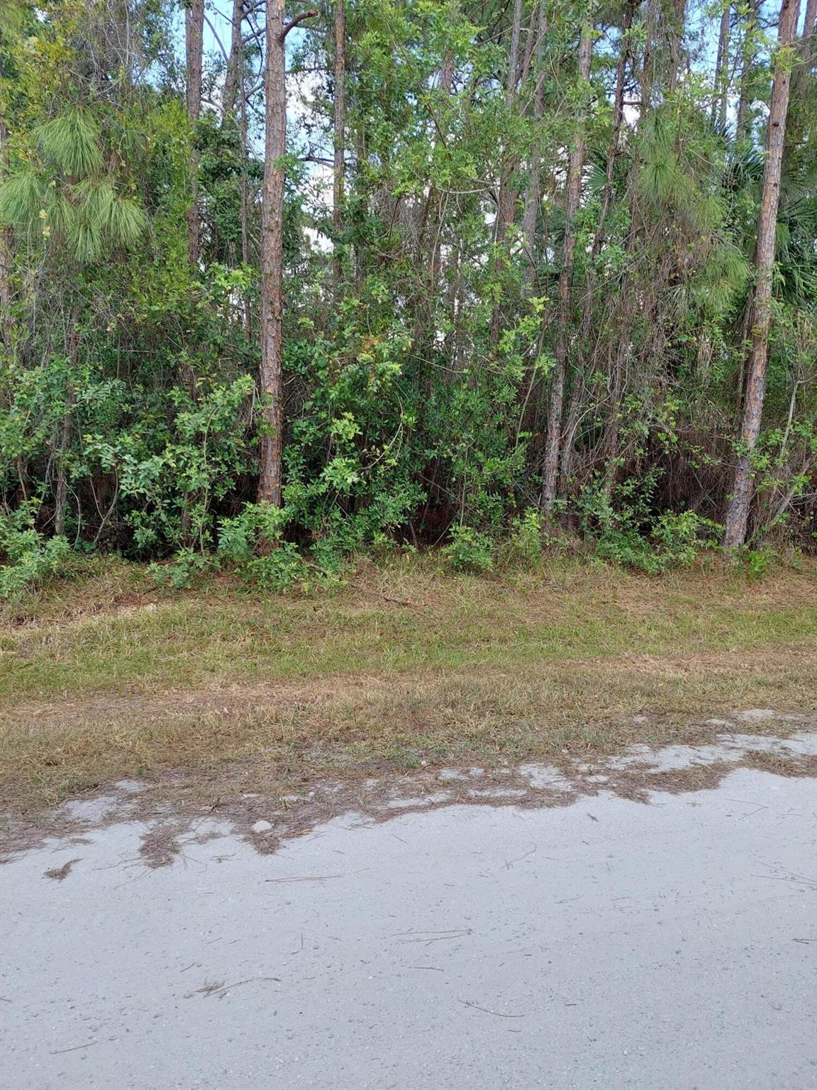 Loxahatchee/The Acreage - Land