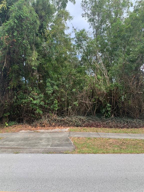 Rare 1/3 of an acre in Martin County. Build your dream home on this beautiful corner lot in Vista Salerno, centrally located in the heart of Stuart. Close to shopping, restaurants and I-95. Sign on the property.
