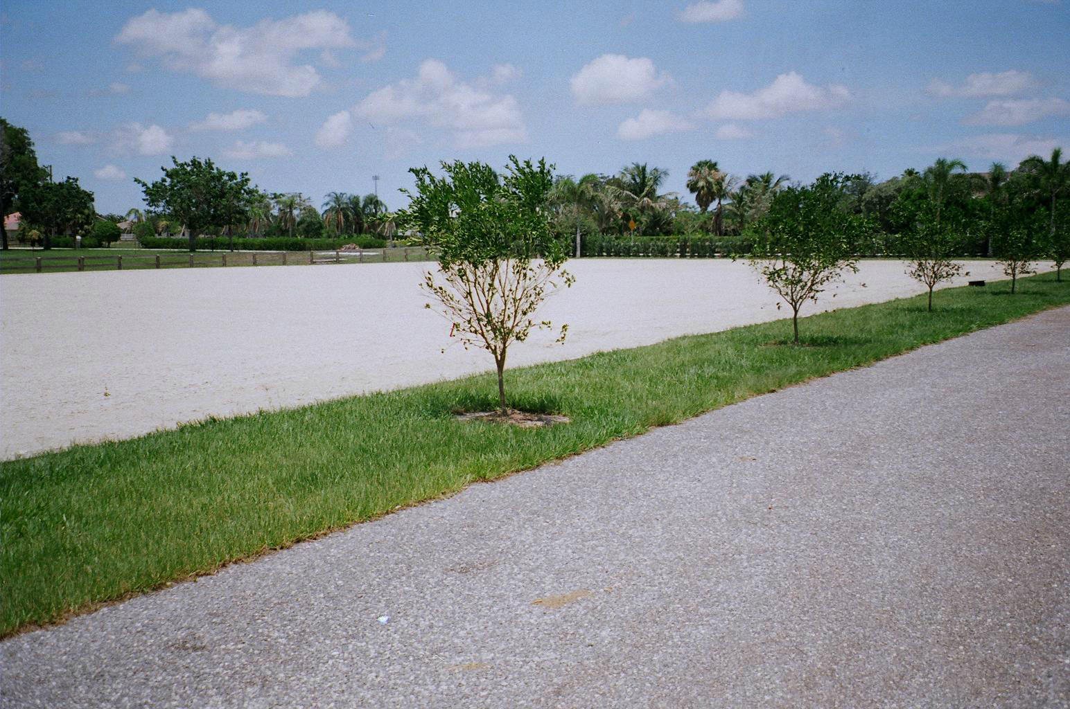 Saddle Trail Park Wellington - Land