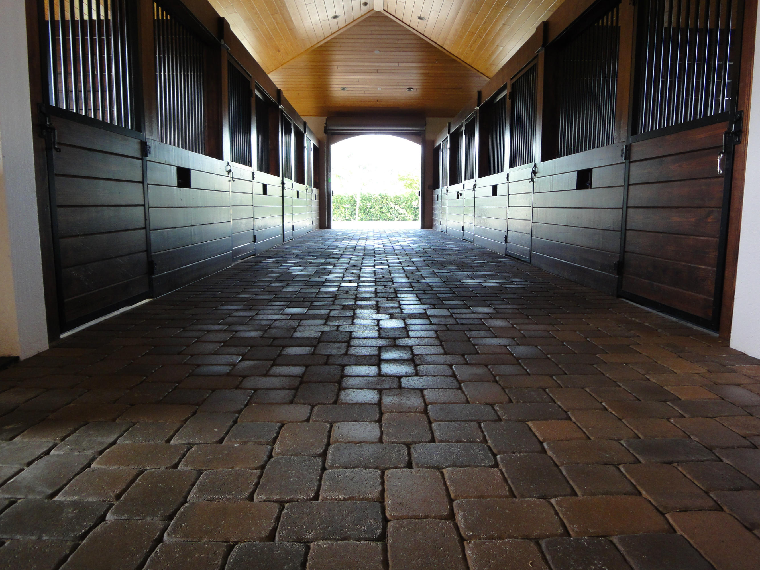 Saddle Trail Park Wellington - Land