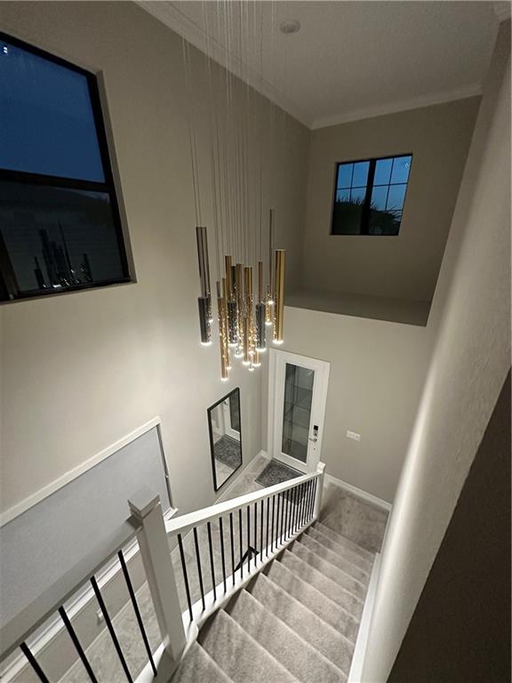 Oak Tree Prop Redev - Residential