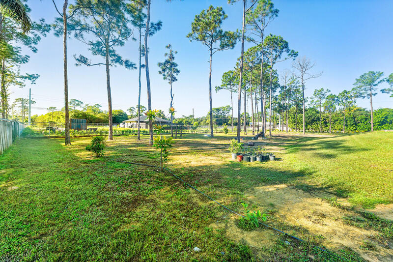 The Acreage - Residential