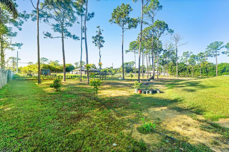 The Acreage - Residential