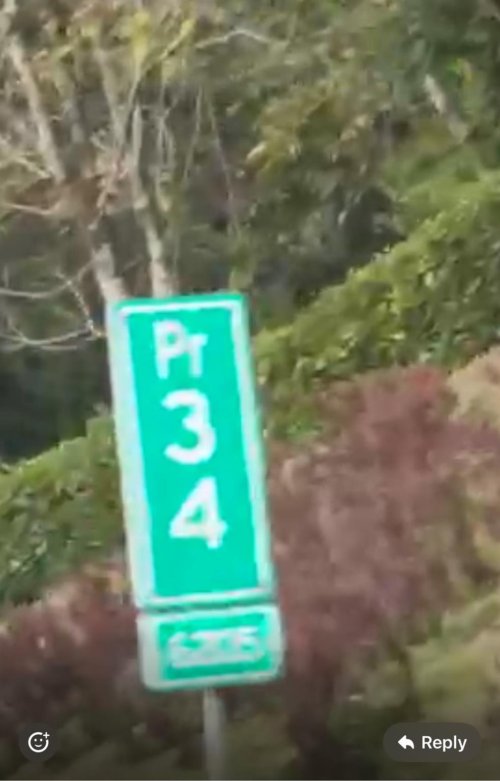 Bosque Dorado - Land