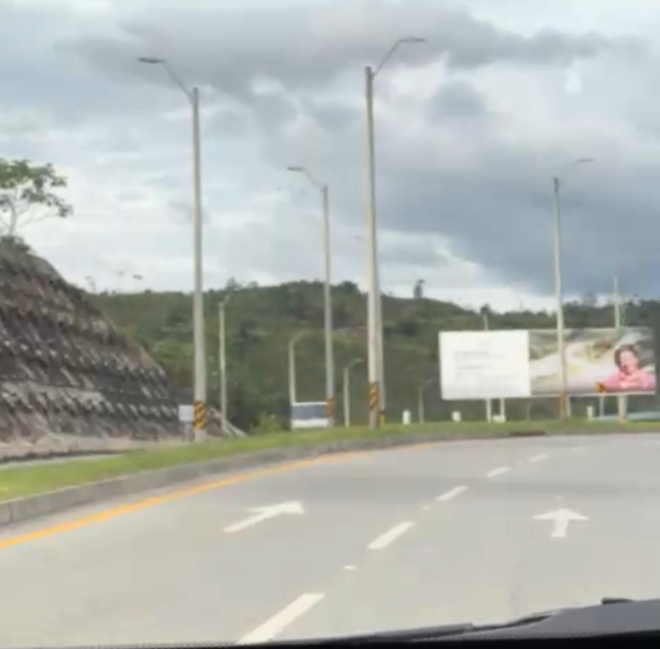 Bosque Dorado - Land