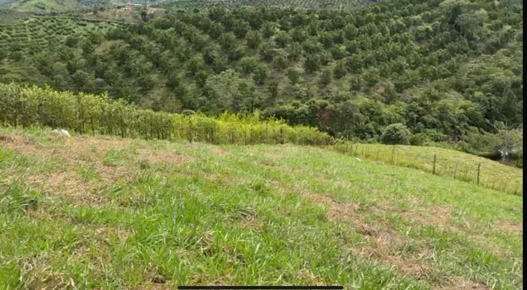 Porce Antioquia