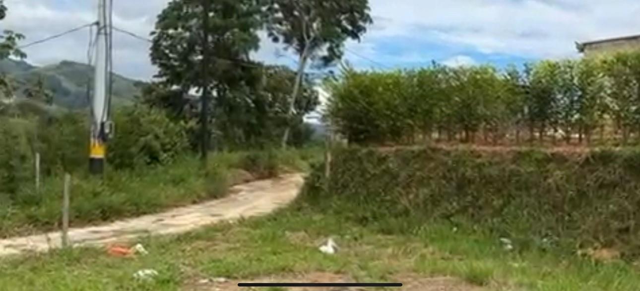 Bosque Dorado - Land