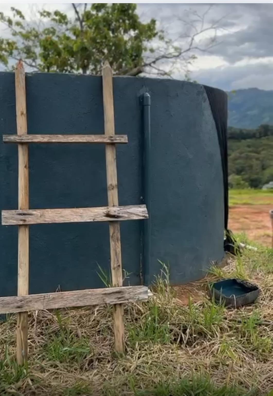 Bosque Dorado - Land