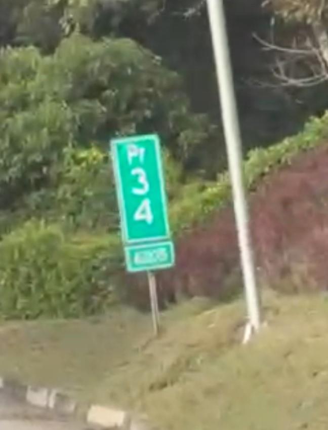 Bosque Dorado - Land