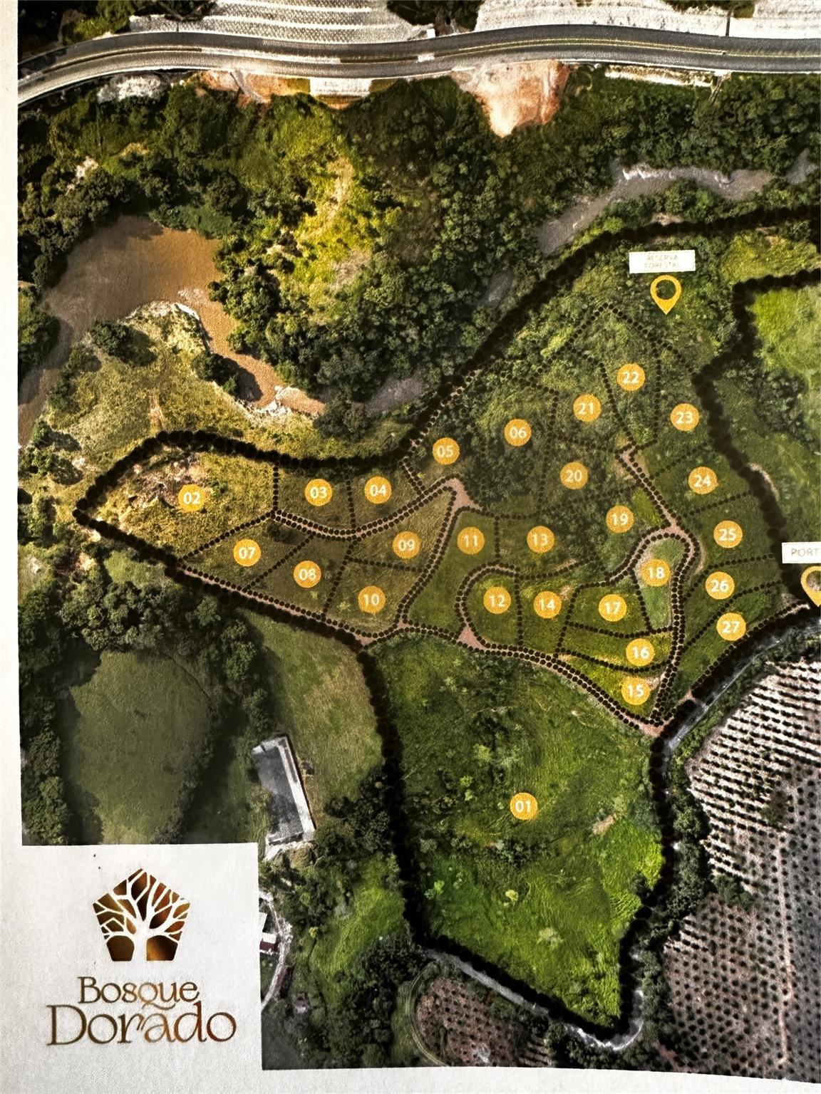 Bosque Dorado - Land