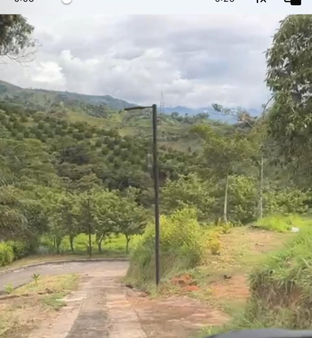 Bosque Dorado - Land