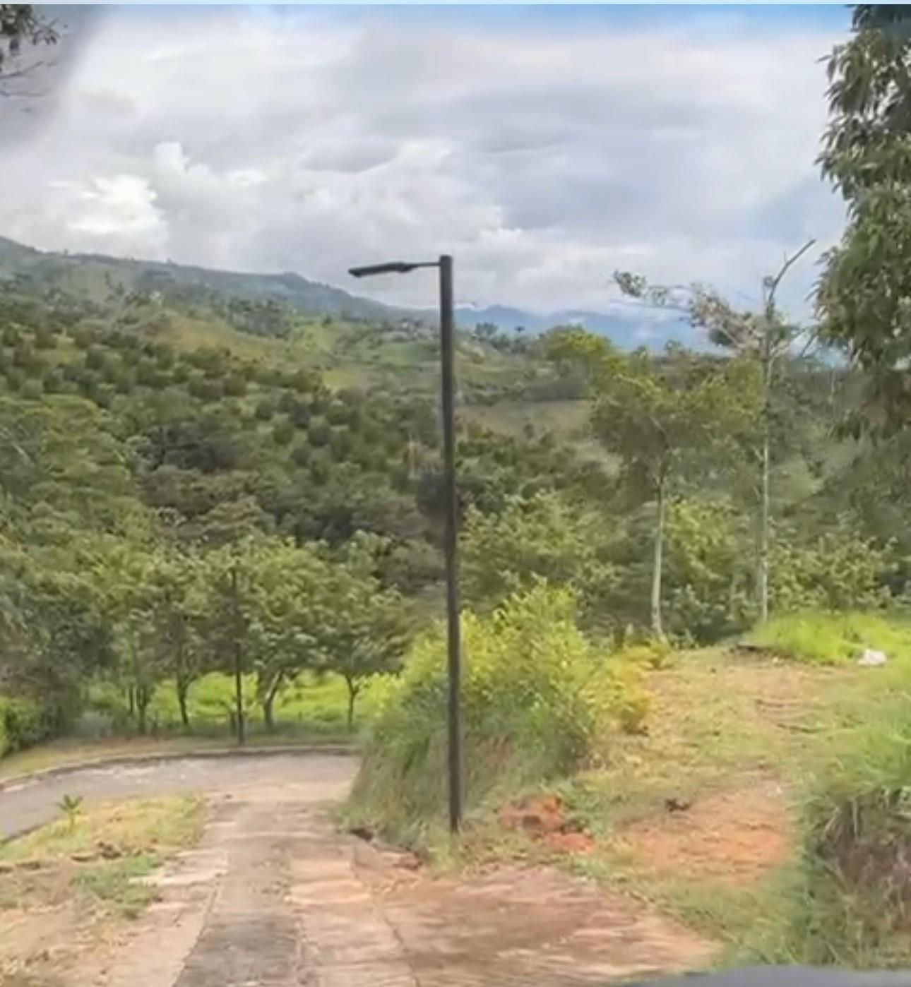 Bosque Dorado - Land