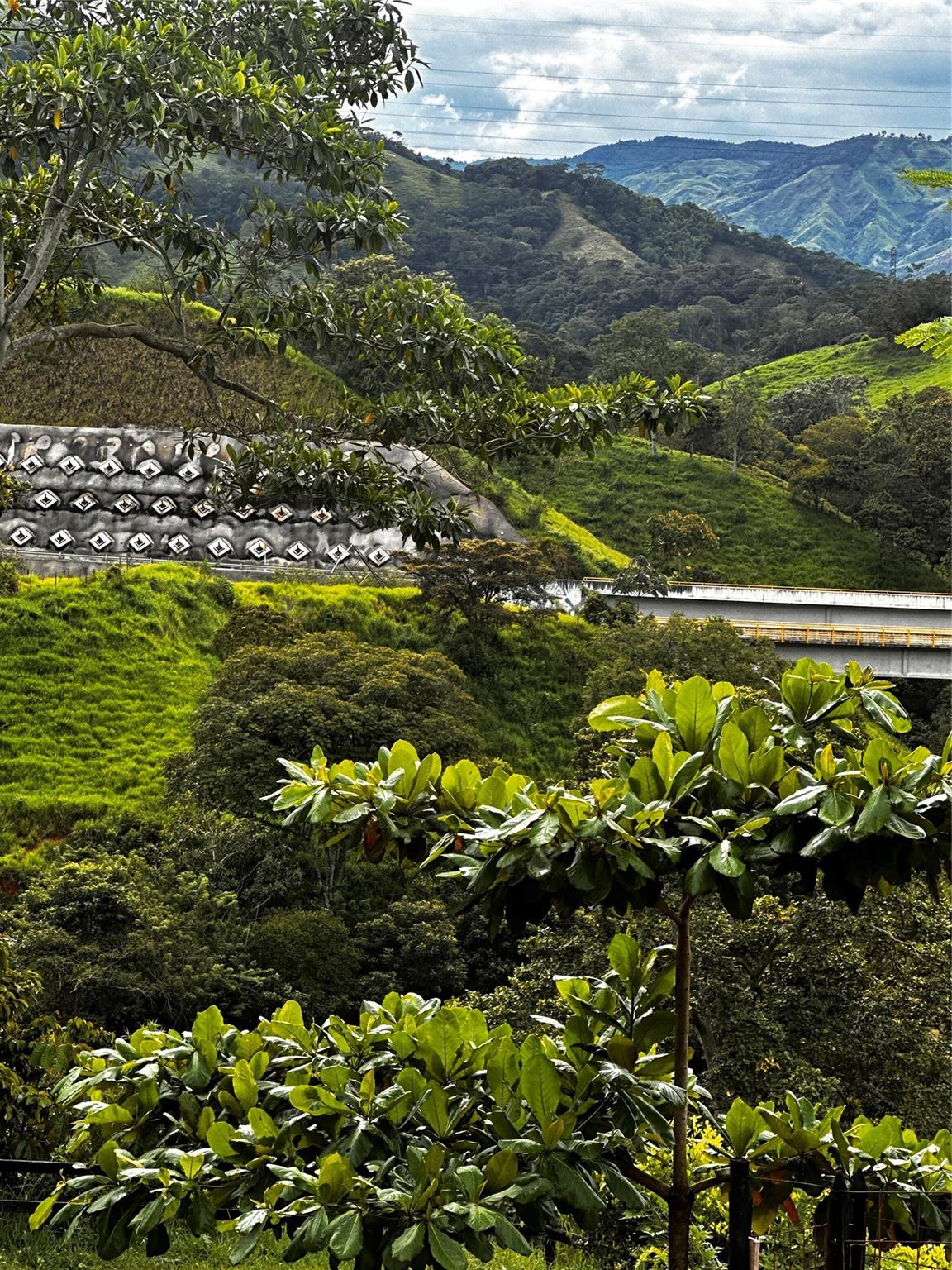 Bosque Dorado - Land