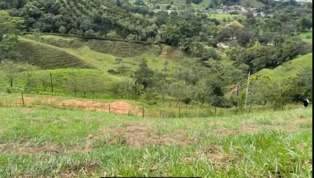 Porce Antioquia