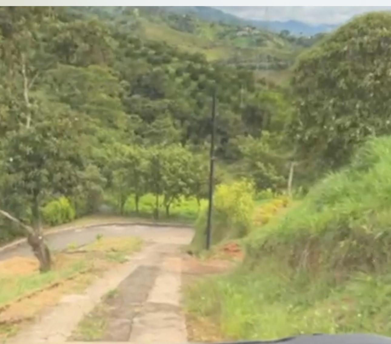 Bosque Dorado - Land