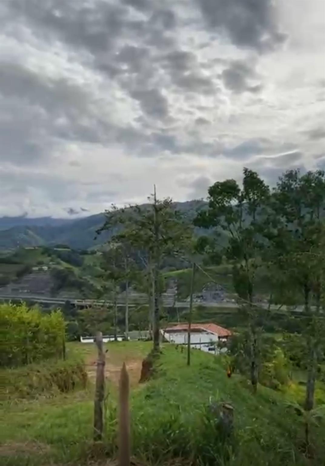 Bosque Dorado - Land