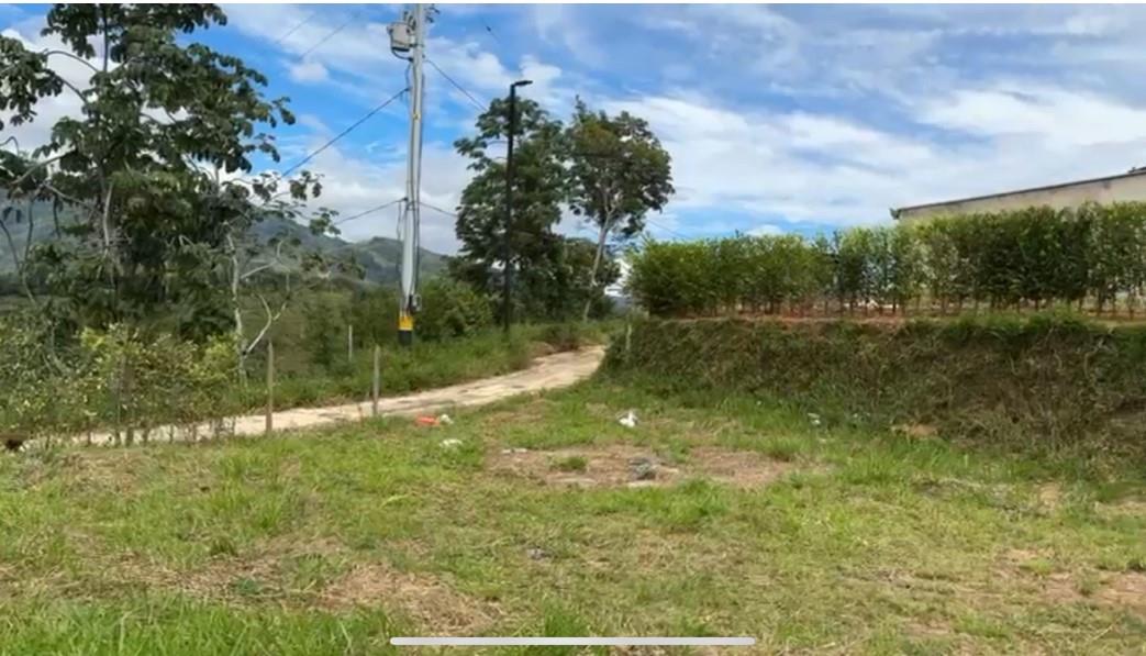 Bosque Dorado - Land