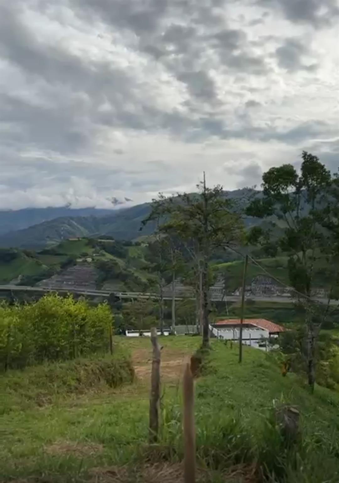 Bosque Dorado - Land