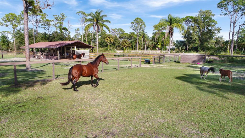 Jupiter Farms - Residential