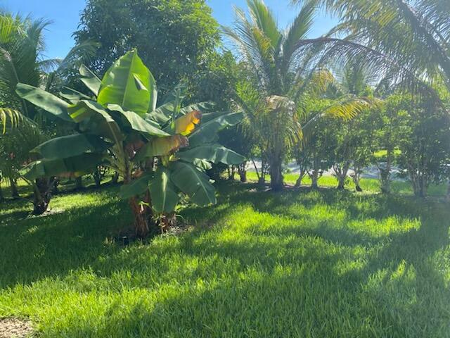 SUDAN UNIT A IN - Residential