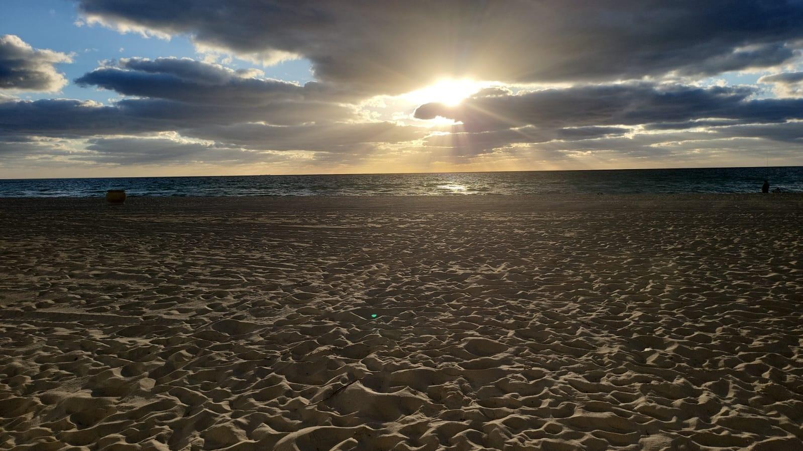 Foxglove Co-Op - Residential Lease