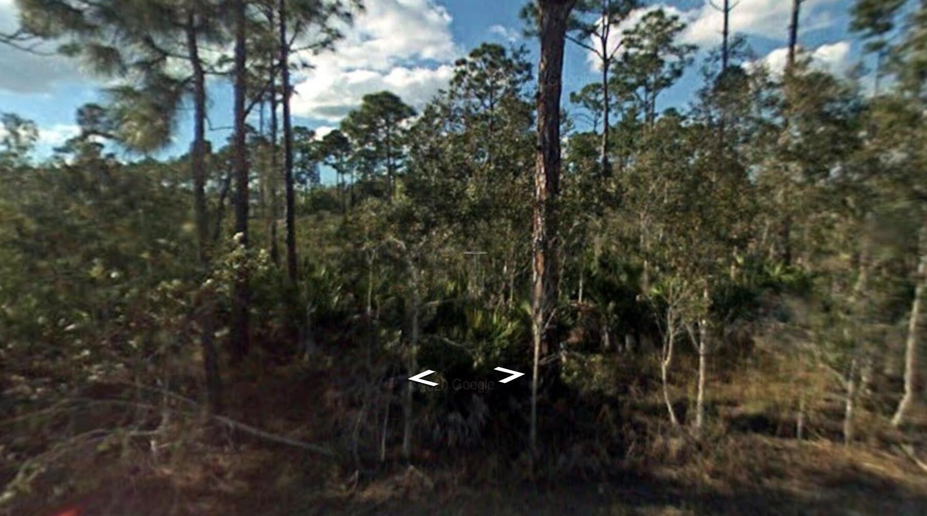 Tropical Gulf Acres doesnt require floor insurance, this house doesnt pay any HOA fees, there is no deed restriction. It is not a scrub jay zone.To be checked again with county office. Located close to major road and highways, near Punta Gorda historic center but nested in a quiet neighborhood with already new homes built in the street.