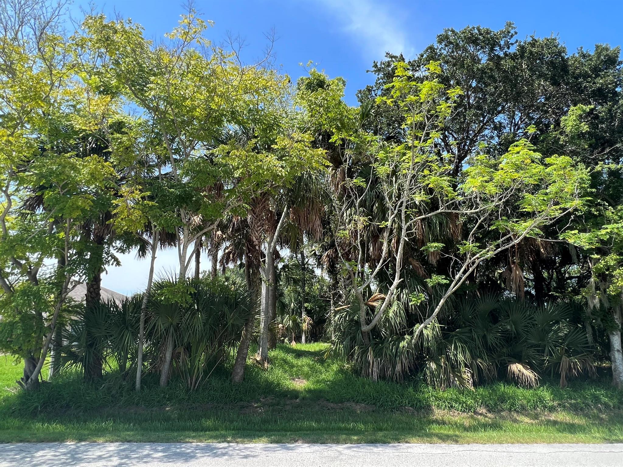 111 Cimmaron Drive