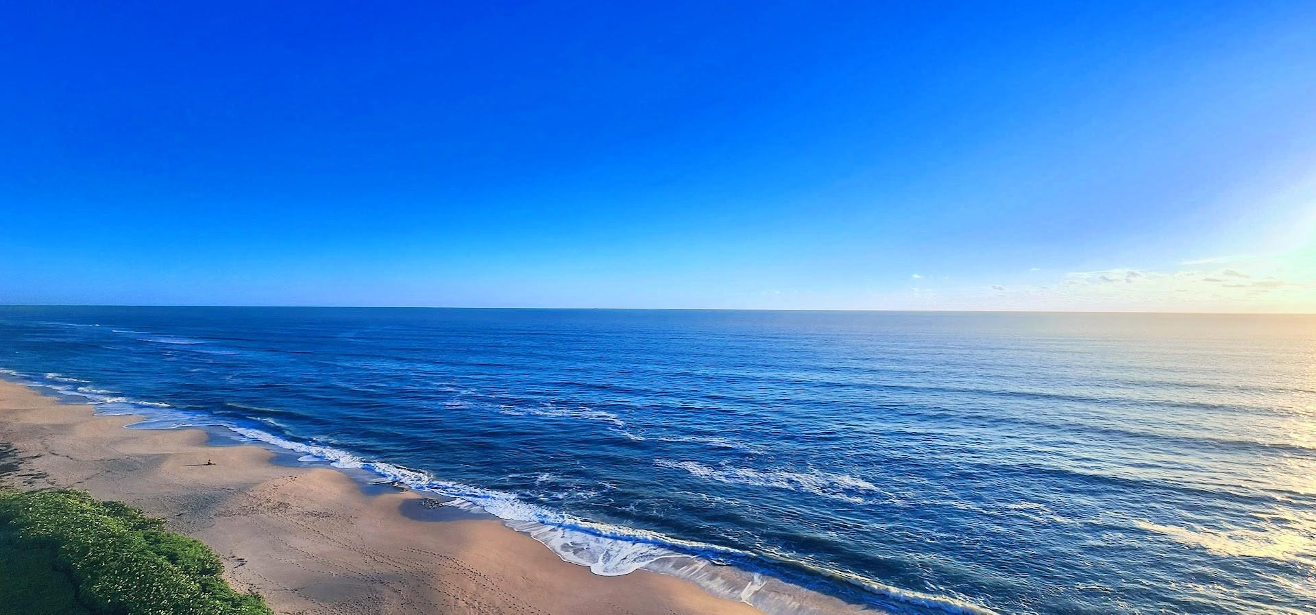 4200 N Ocean Drive 1- 1101