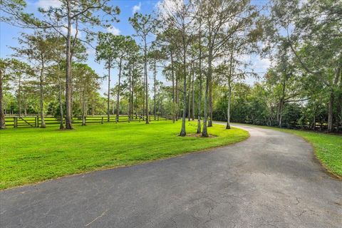 A home in Lake Worth