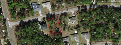 3120 W Randolph Lane Citrus Springs FL 34433