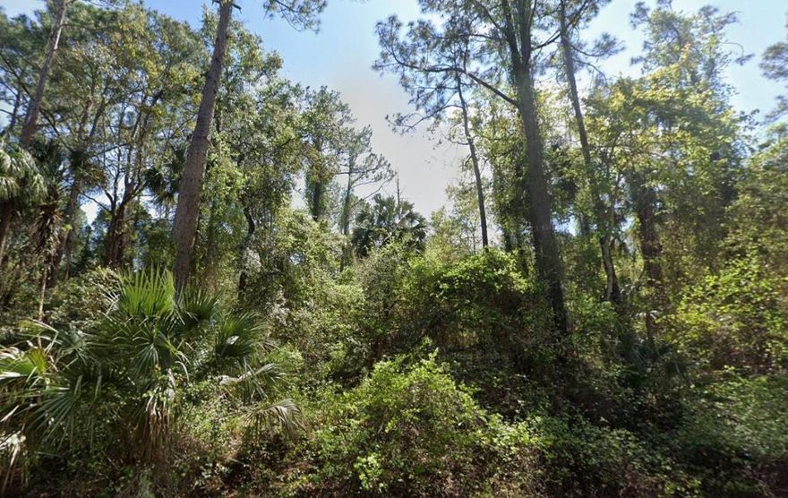 Zoned RS-2 - Flexible Build Options! This 0.23-acre lot in the desirable Paradise Lakes community offers the perfect opportunity to create your ideal home or getaway. RS-2 zoning allows for site-built homes, modular, tiny homes and barndominiums giving you flexibility in your build. RVs are not permitted for permanent living, but may be allowed temporarily during construction with a permit. Located in peaceful Georgetown, FL, this property blends tranquility with convenience. Paradise Lakes features deeded access to Lake George, offering boating, fishing, and scenic waterfront enjoyment. Community amenities include a pavilion, picnic areas, and recreational spots. Don't miss your chance to own a piece of Paradise Lakes and bring your vision to life!