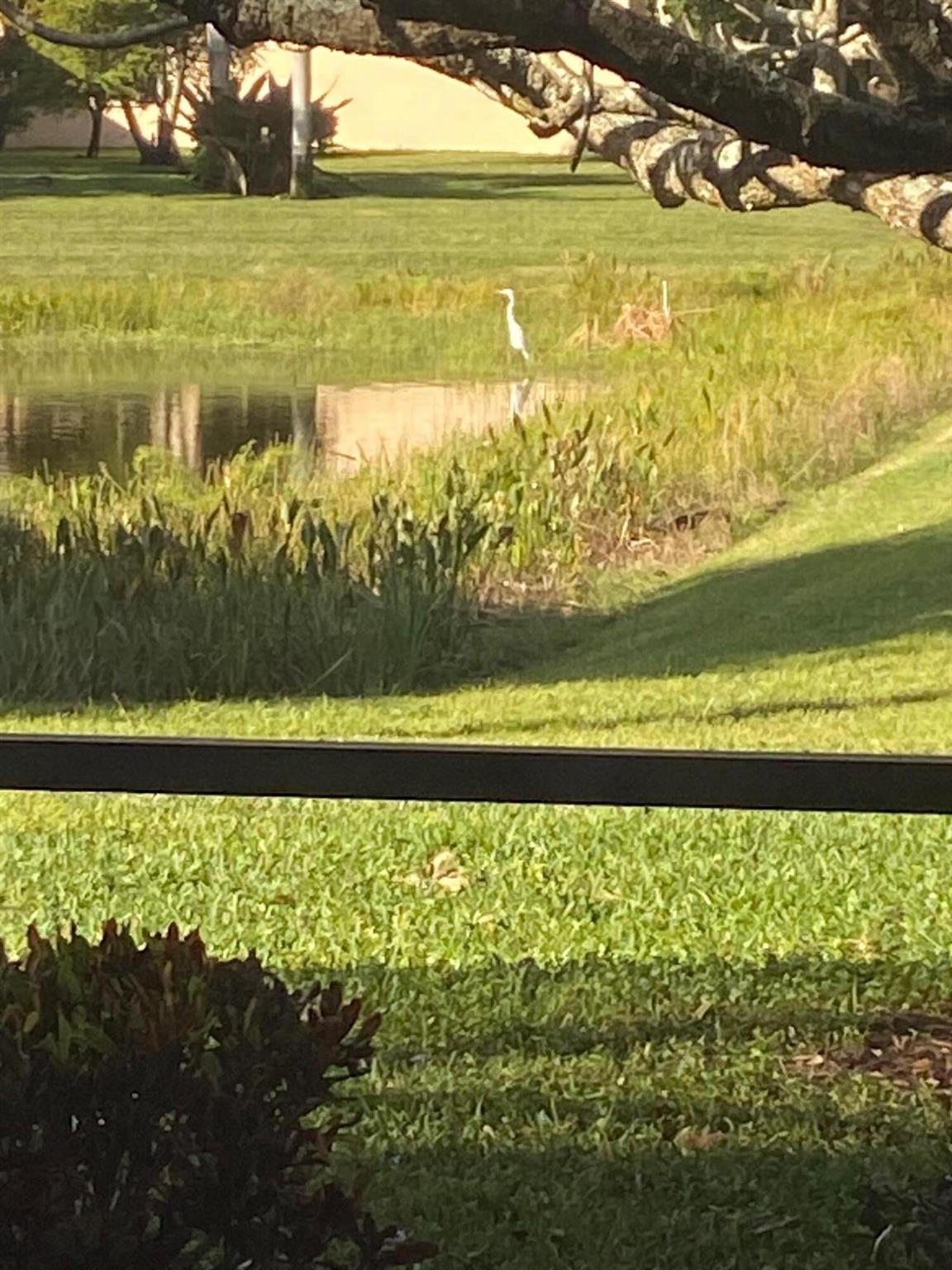 VALENCIA PALMS 1 - Residential