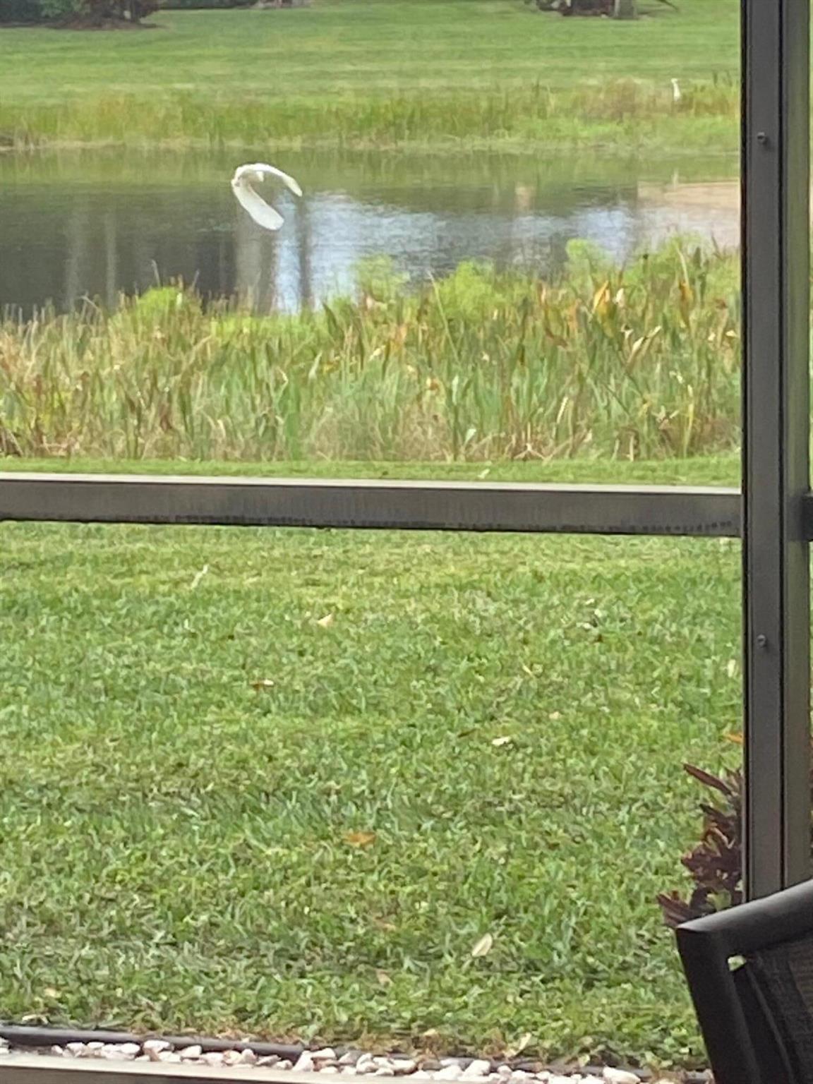 VALENCIA PALMS 1 - Residential