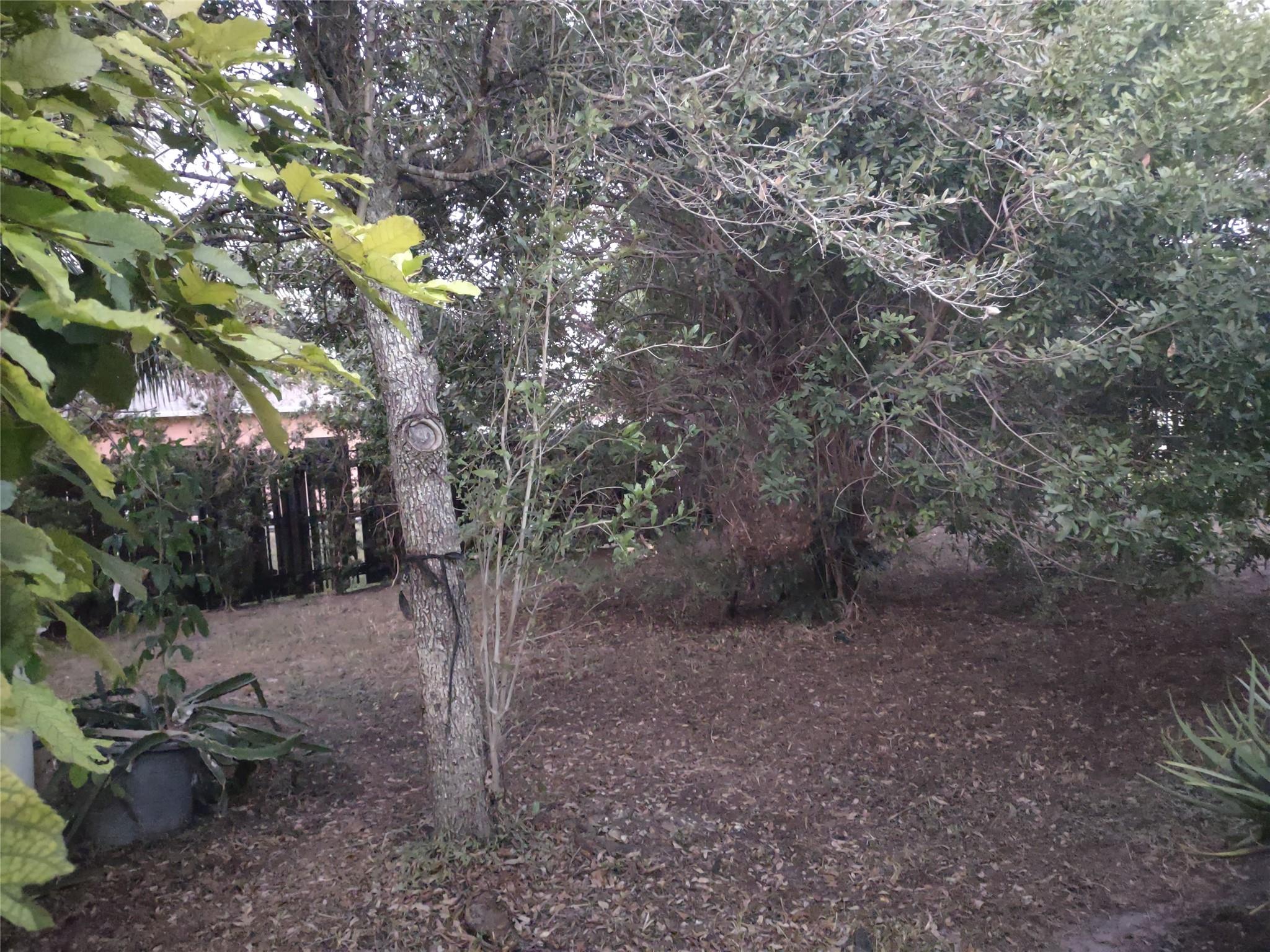 Carver Ranches 19-2 B - Residential