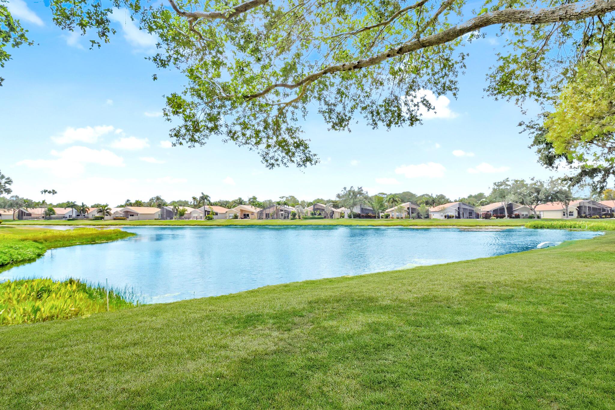 Properties 12032 Vita Way