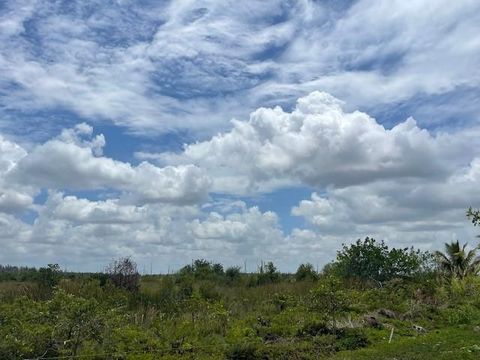 A home in Pembroke Pines