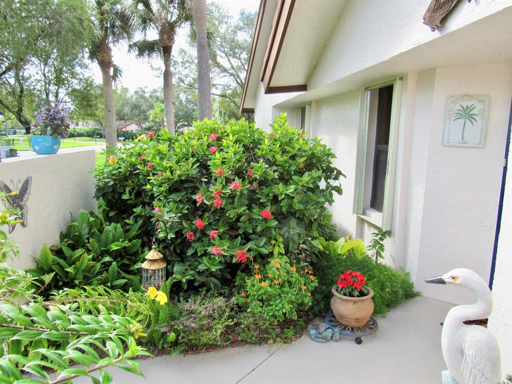 MONTEGO COVE - Residential