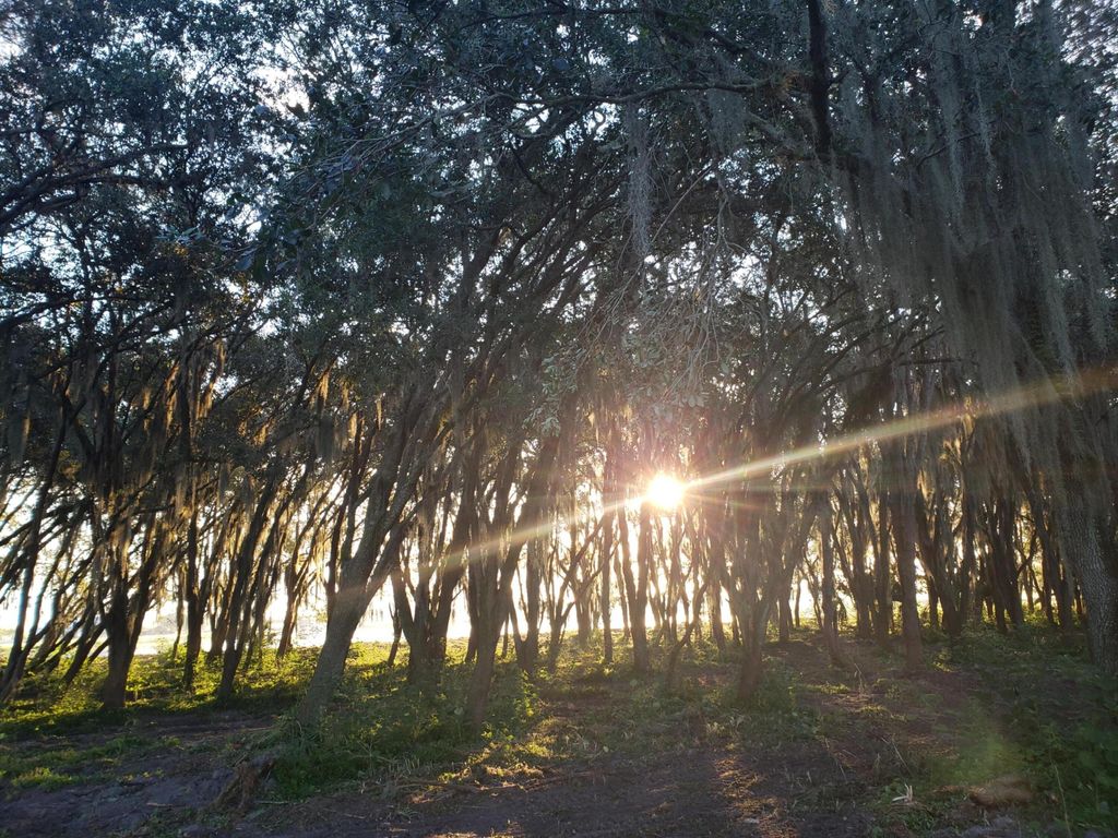 Photo of 6551 SW Pentalago Place, Palm City, FL 34990 (MLS # R11000191)