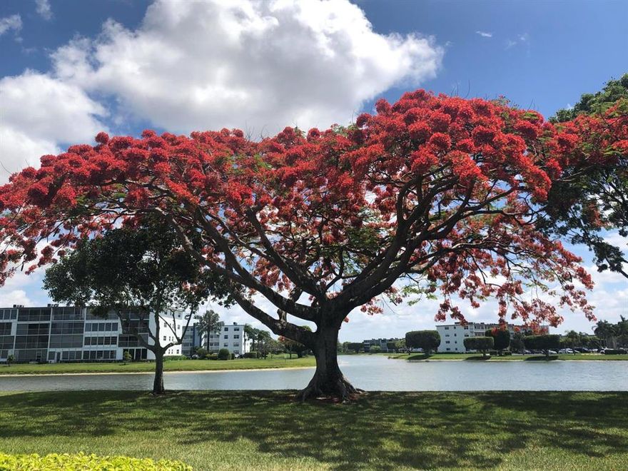 Beautiful third floor unit overlooking expensive lake views with private balcony off the master bedroom. Enjoy all the Century Village amenities: amazing clubhouse, pools, theater, fitness center, Pickleball, buses to take you shopping. Maintenance includes cable, water, building insurance, security.