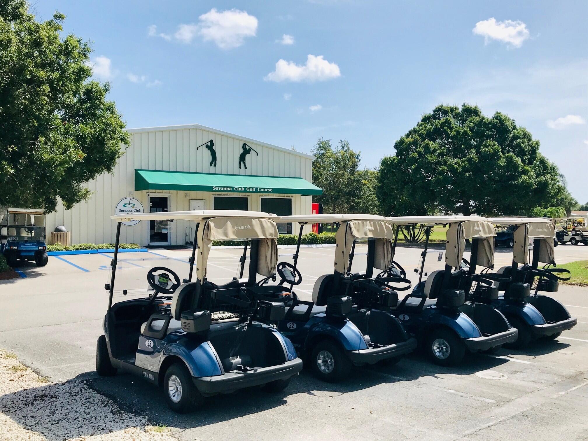 THE LINKS AT SAVANNA CLUB - Residential