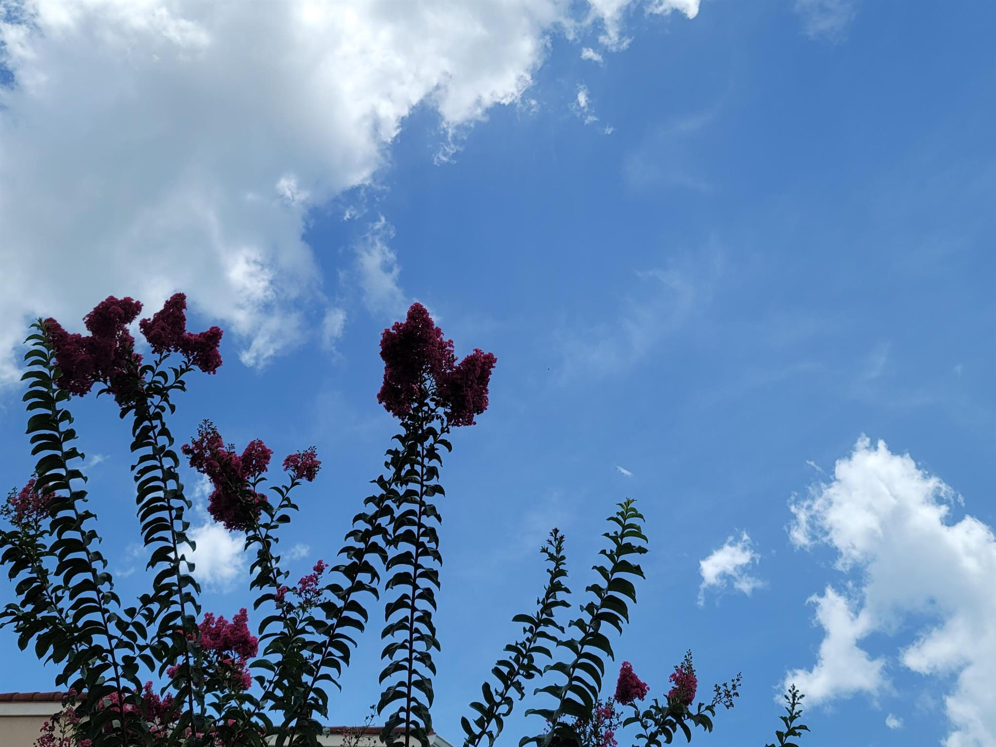 LAGUNA OF VERO BEACH - Residential Lease