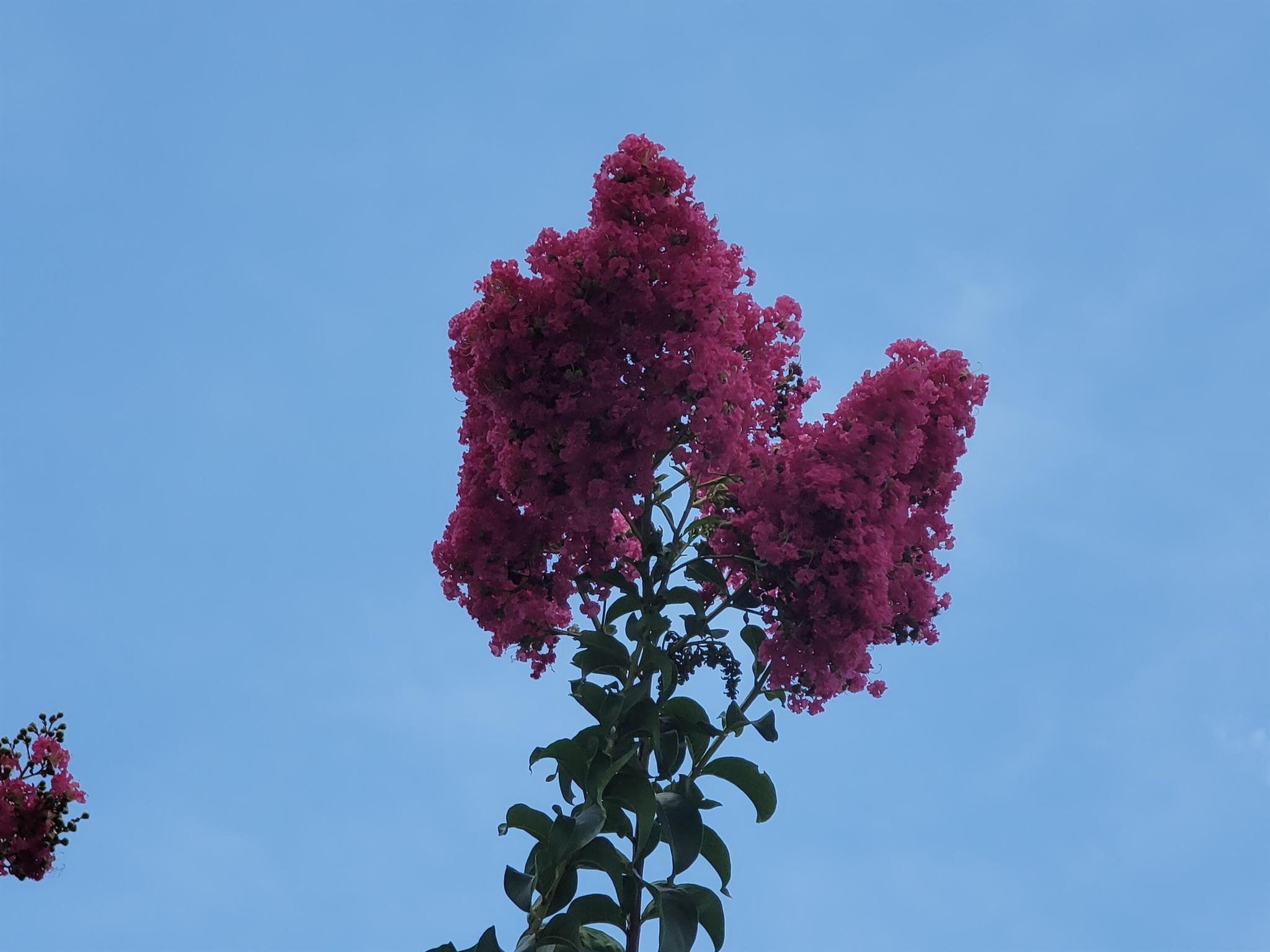 LAGUNA OF VERO BEACH - Residential Lease