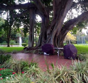 Inlet Harbor - Residential