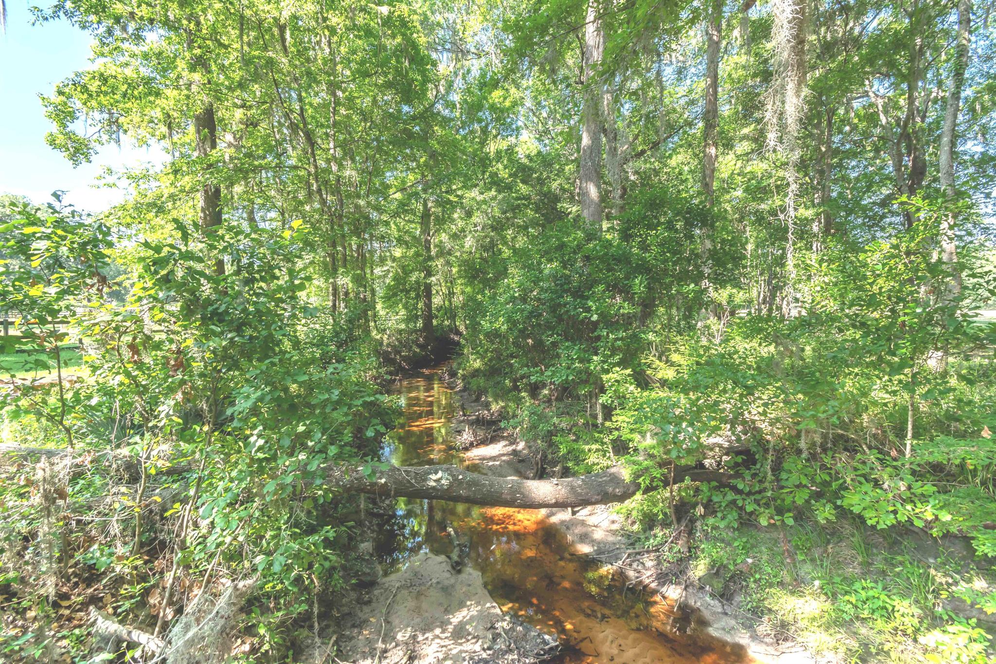 SANCTUARY OAKS - Residential